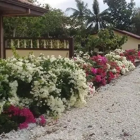 Garden Inn