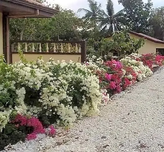 Garden *